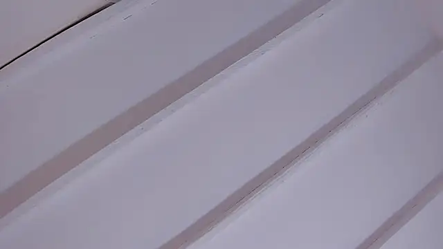 EvelynBlak1 webcam