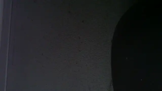 alealae webcam