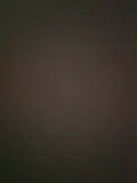 NiceBadgera webcam