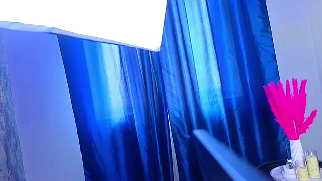 PerryKitty webcam