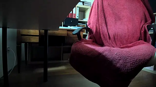 leccaleccafiga webcam