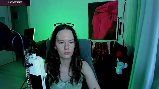Vulgar_Tamer webcam