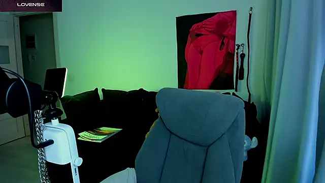 Vulgar_Tamer