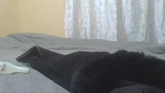 ndivhuwomuleya webcam