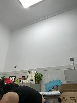 daaqnn webcam