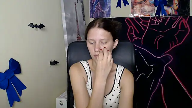 StellaCRL webcam
