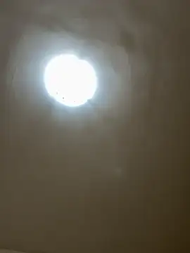 _Jessika13_ live cam on StripChat