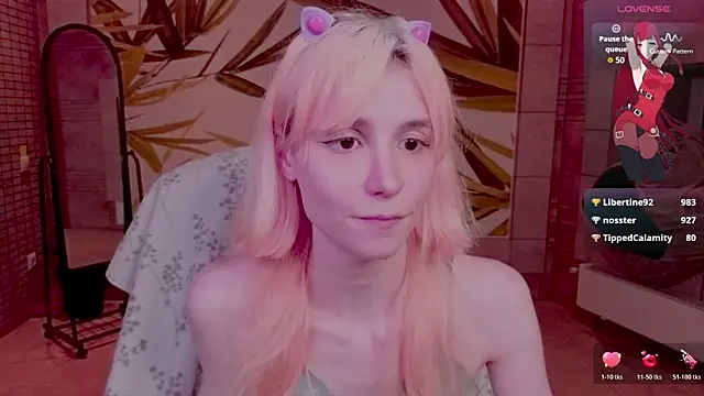 fleximona webcam