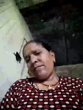 Loomaraj webcam