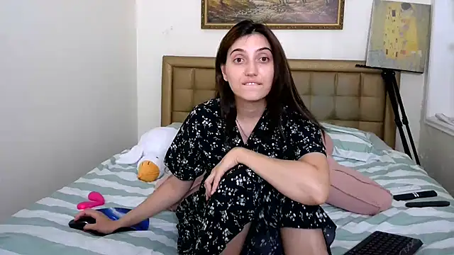 Iren webcam