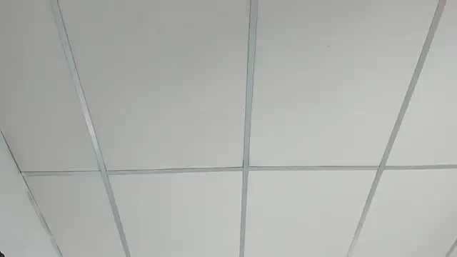 samxx_muscle webcam