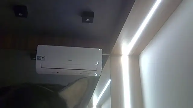 SkinnyKitten webcam