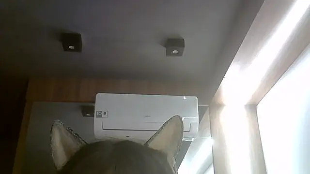 skinnykitten - SkinnyKitten's free webcam - UK Sex Cams