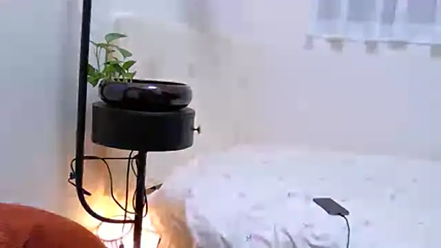 wt0314 webcam
