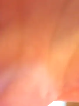 NeredaXxx webcam
