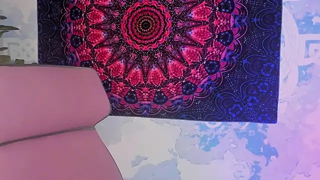 LidaDarknet webcam