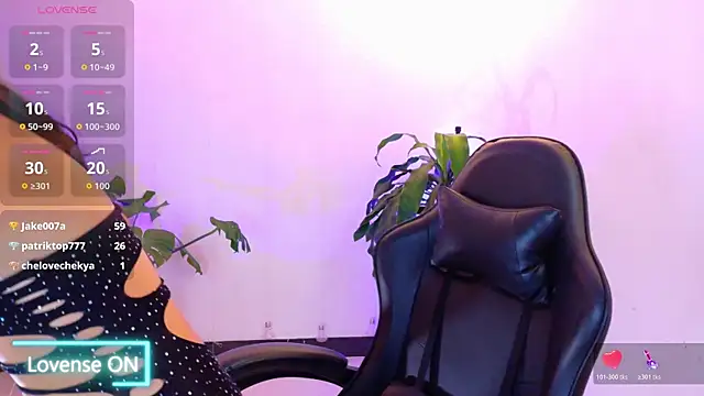 Sarasavage webcam