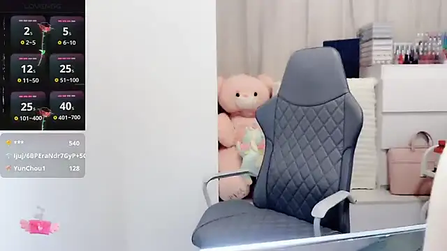 AA-Anna webcam