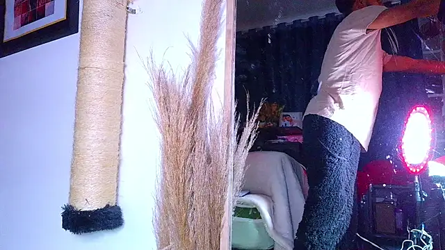 the_dog_lian webcam