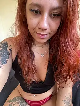 Prixiie webcam