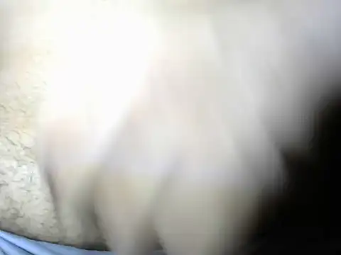 KovenKing webcam