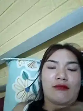 Voiva11 webcam