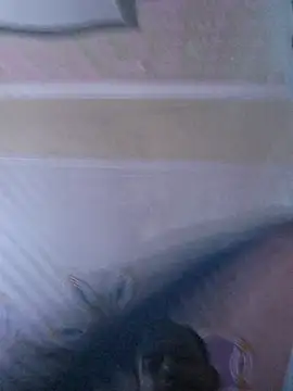 SINGHANSHX webcam