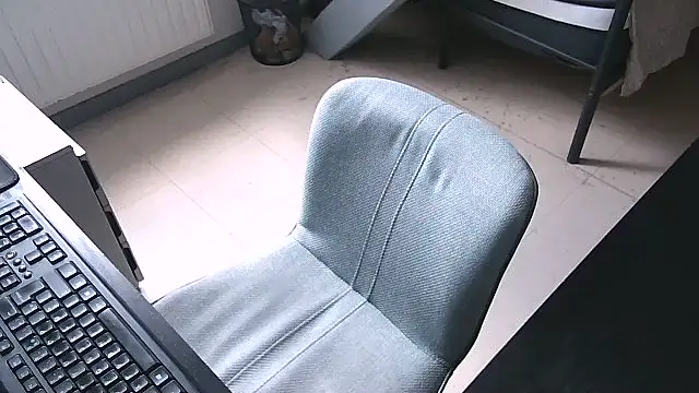 TRESBIENGAULER webcam