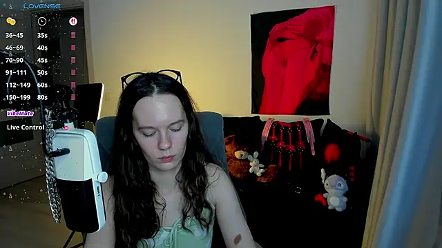 Vulgar_Tamer webcam
