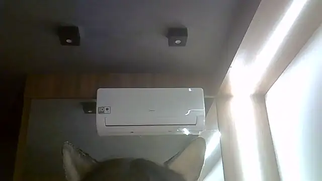 SkinnyKitten webcam