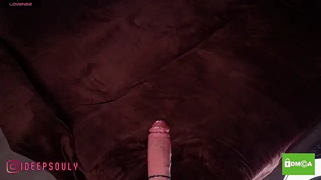Deepsouly webcam