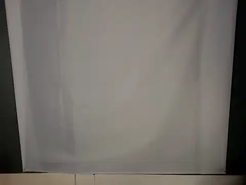 Ivory_Kat2 webcam