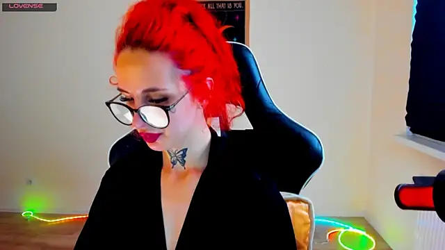 your_tora webcam
