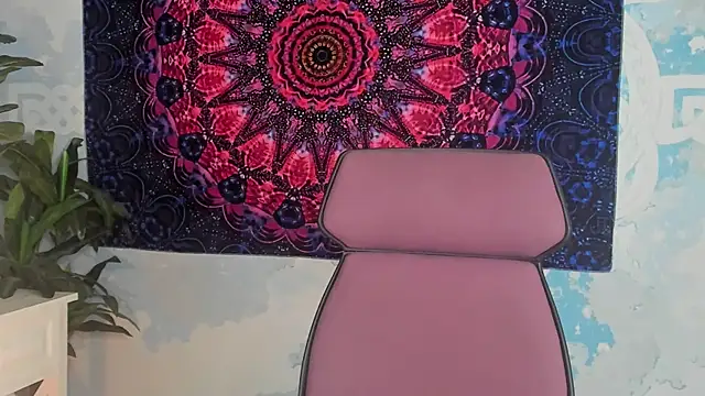LidaDarknet webcam