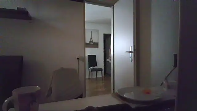alpha-hunk webcam