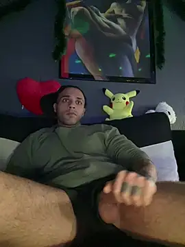 Mohdollmen webcam