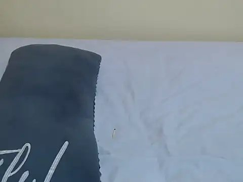 lynnsee webcam