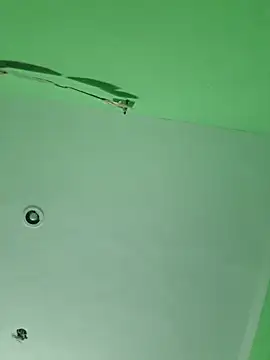 elverdoolaga webcam