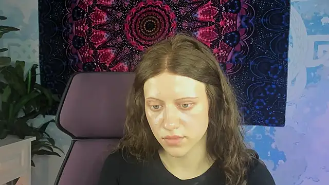 LidaDarknet webcam