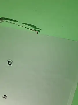 elverdoolaga webcam