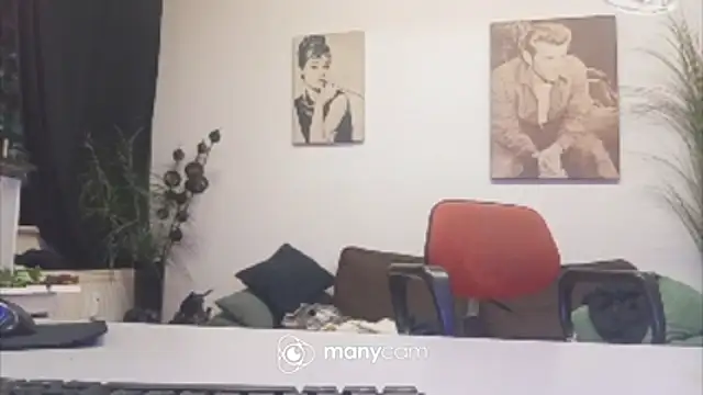 der_dino30 webcam