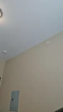 AmethystFoxx webcam