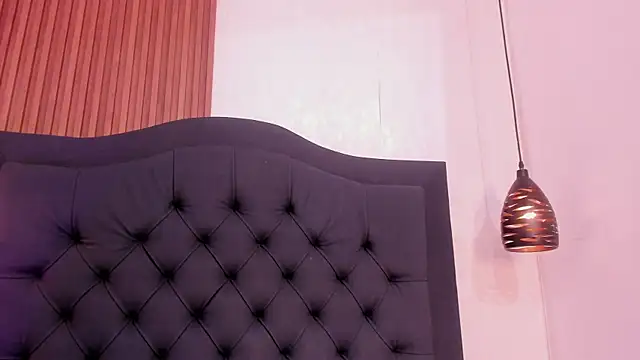 Johan_gz_ webcam