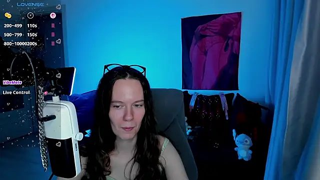Vulgar_Tamer