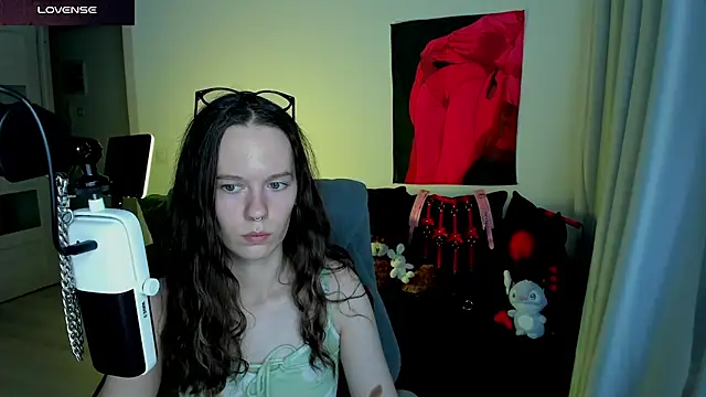 Vulgar_Tamer webcam