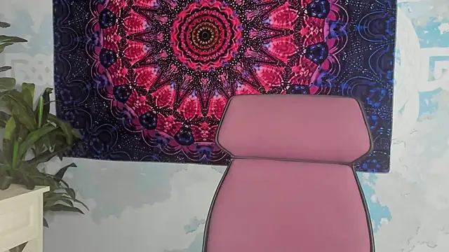 LidaDarknet webcam