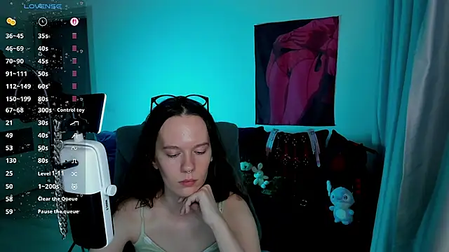 Vulgar_Tamer