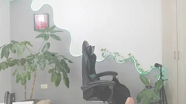 LauPolett webcam
