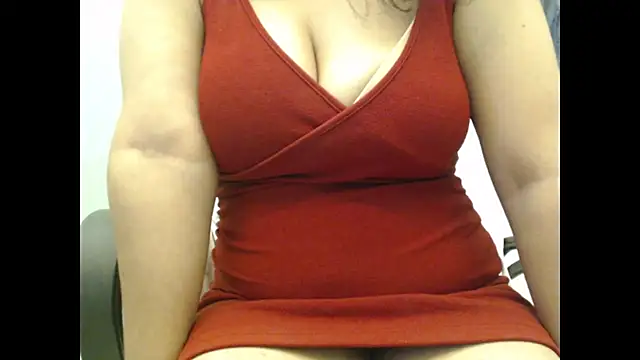 Model29 webcam