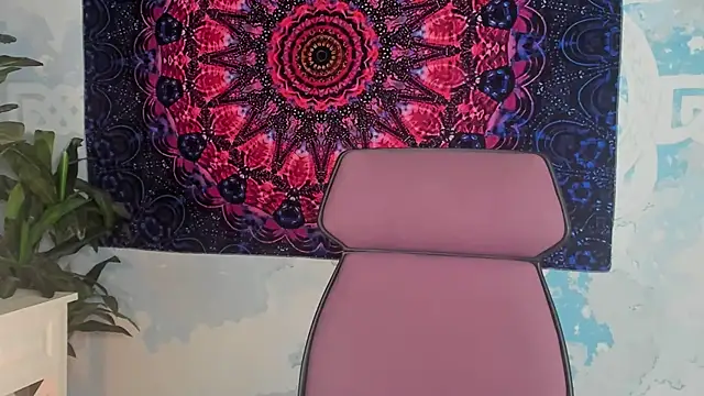 LidaDarknet webcam